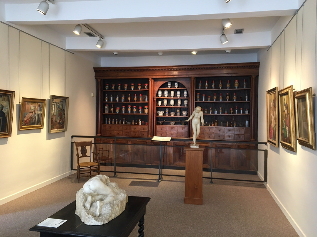 Musee Albert-Andre景点图片