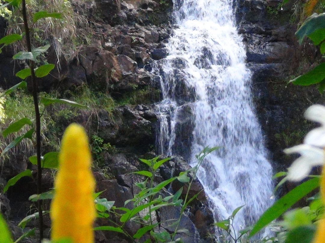 威美亚瀑布景点图片