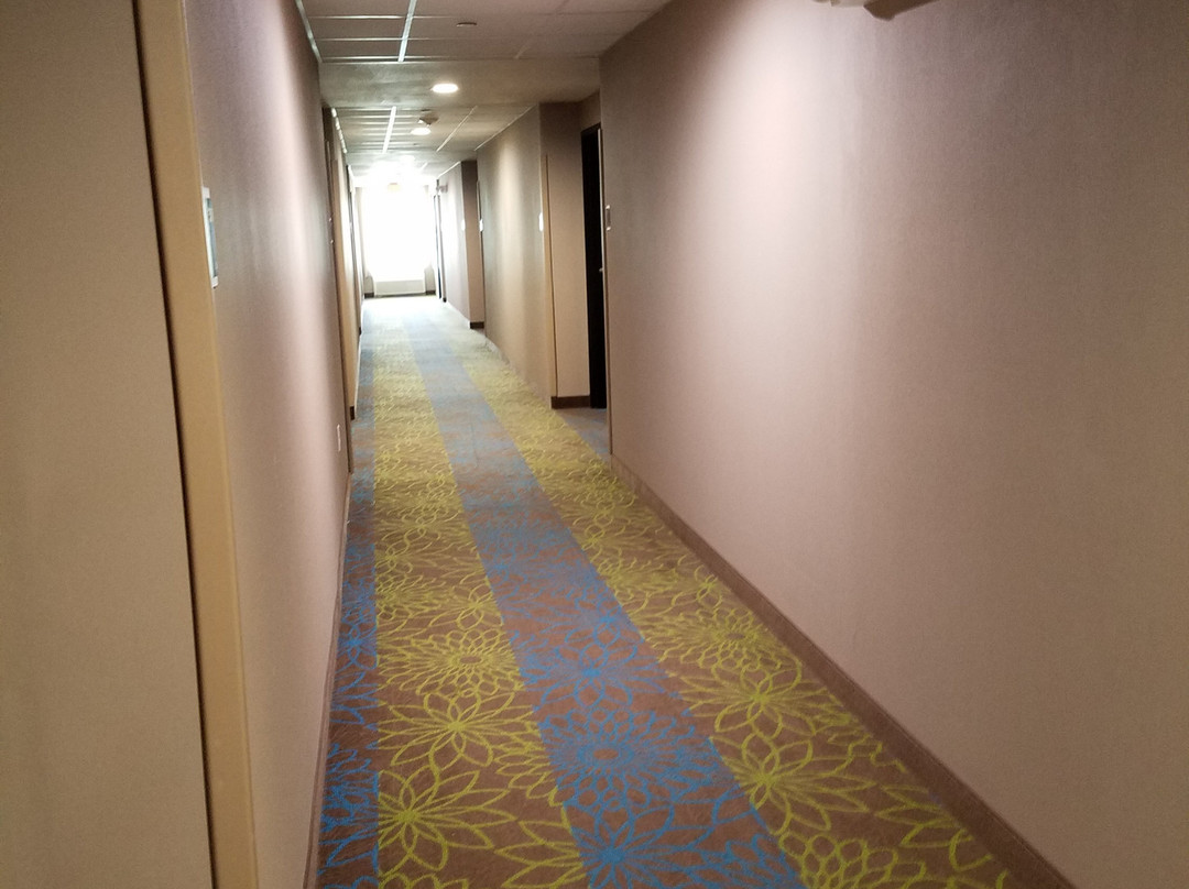 Spark By Hilton Killeen主图