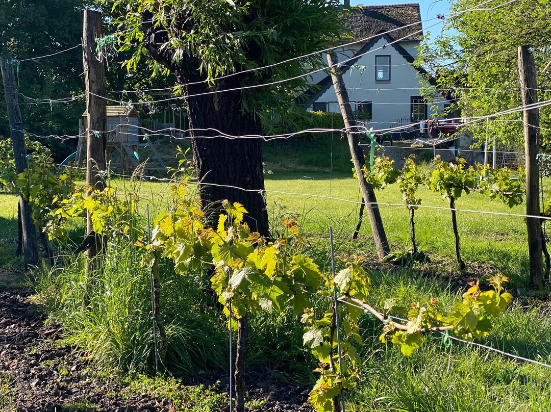 Wijndomein Buytenwaerde-Vuren必去景点