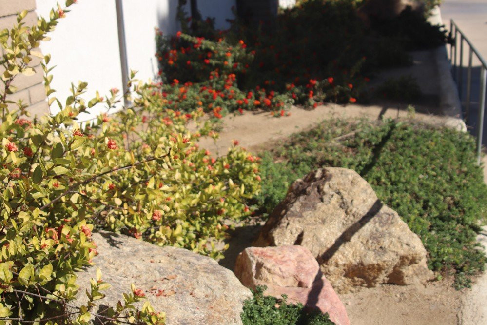 Indio City Hall-印第奥必去景点