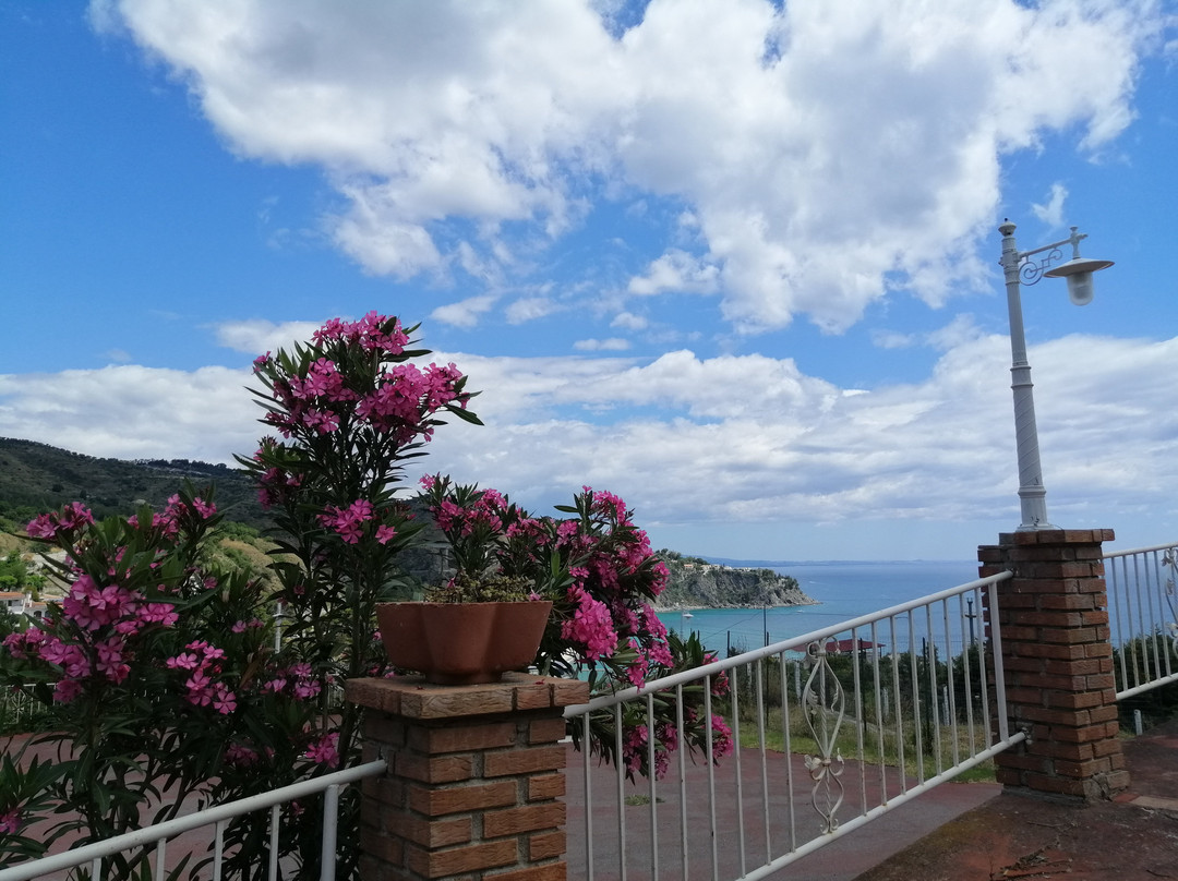Baia dell'Est主图