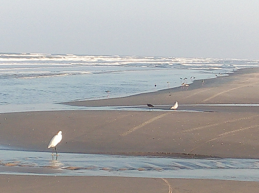 Cidreira Beach景点图片