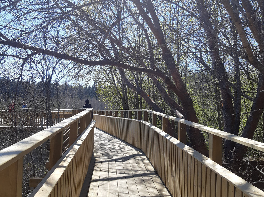Arboretum Norr-于默奥必去景点