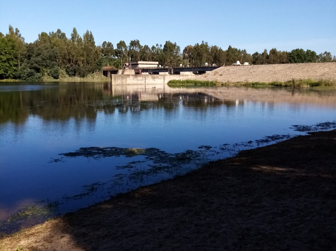 Parque Ecologico do Gameiro景点图片