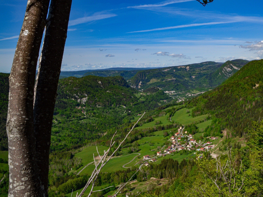 Office de Tourisme Haut-Jura Saint-Claude-圣克洛德必去景点