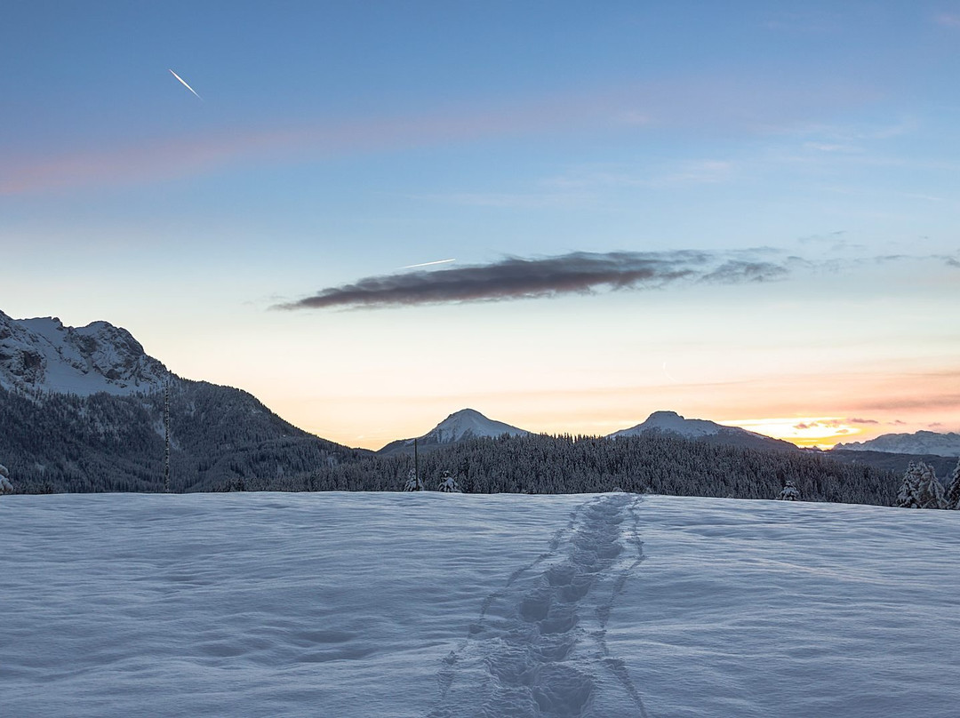 阿德勒酒店主图