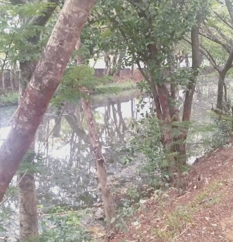 Sarovaram Biopark-科泽科德必去景点