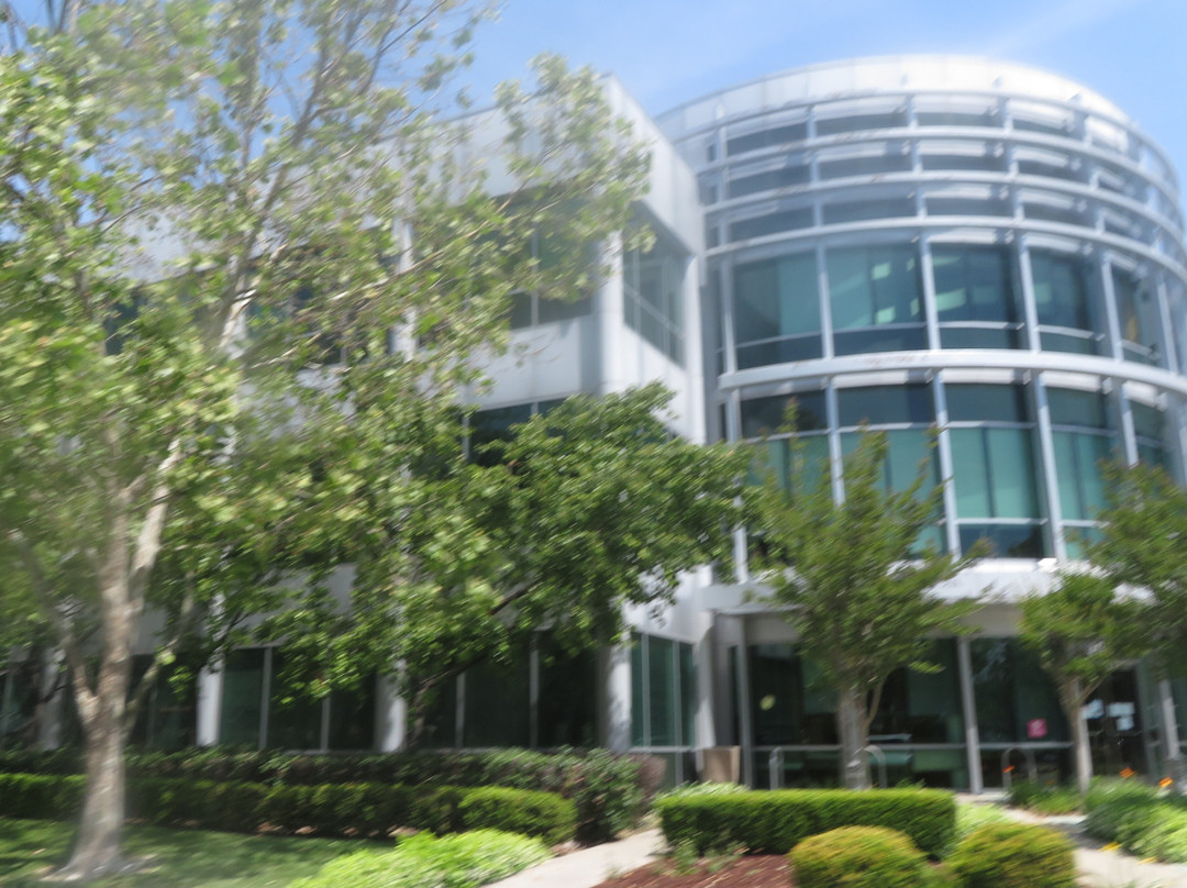 Santa Clara University-圣克拉拉必去景点