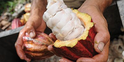 Origen Cacao-Barbosa必去景点