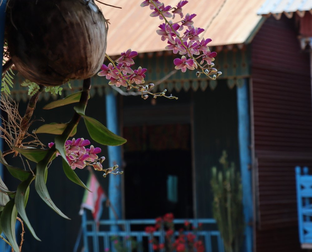 Kompong Khleang景点图片