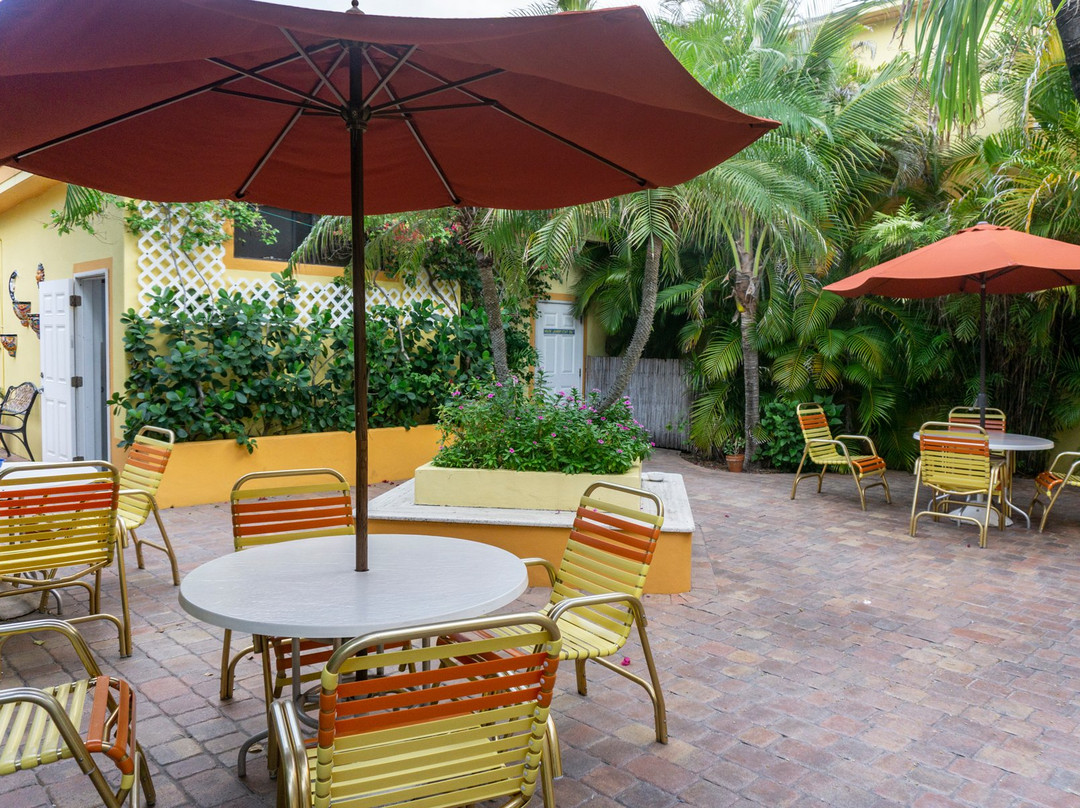 Sea Downs and the Bougainvillea主图