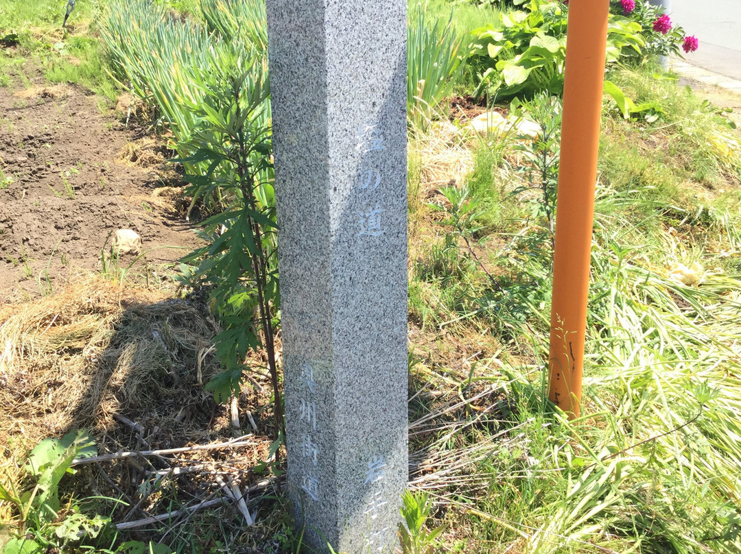 Oshu Kaido Shio no Michi