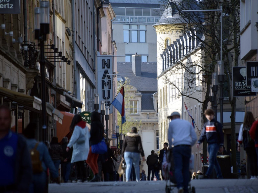 Taxi and  Shuttle Esch-sur-Alzette-卢森堡城必去景点
