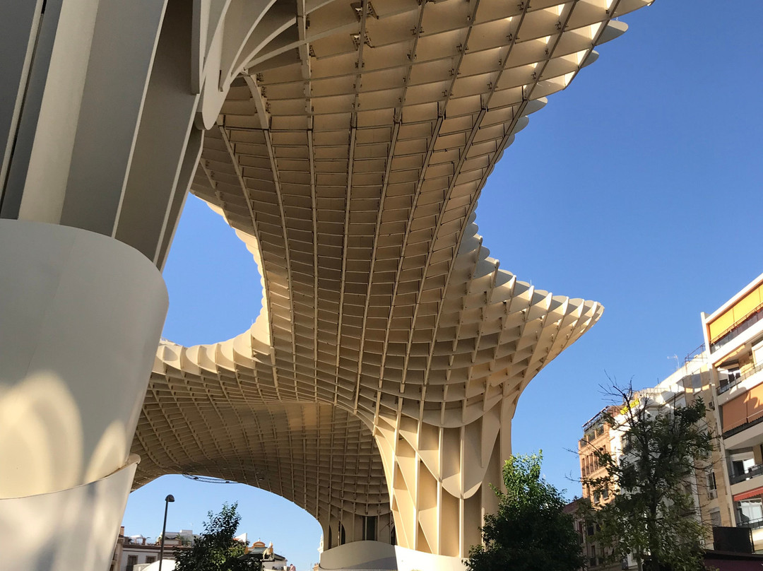 Seville Center-苏塞必去景点
