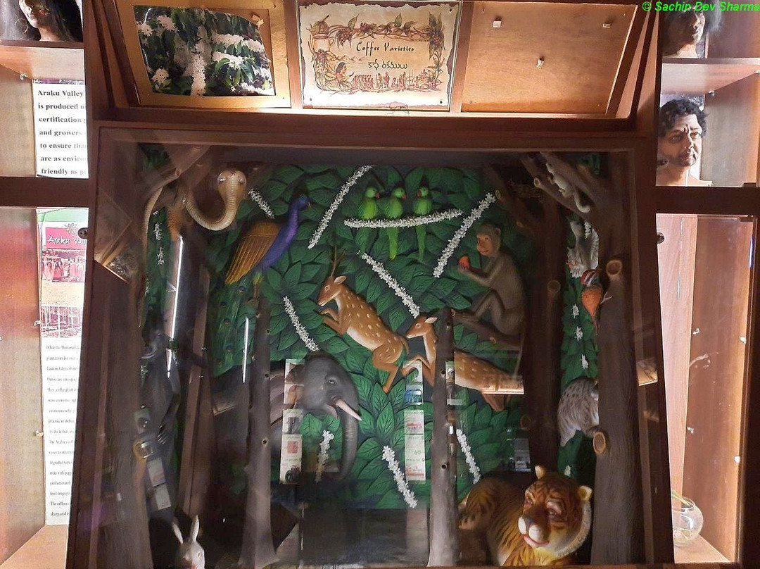 Coffee Museum-Araku Valley必去景点