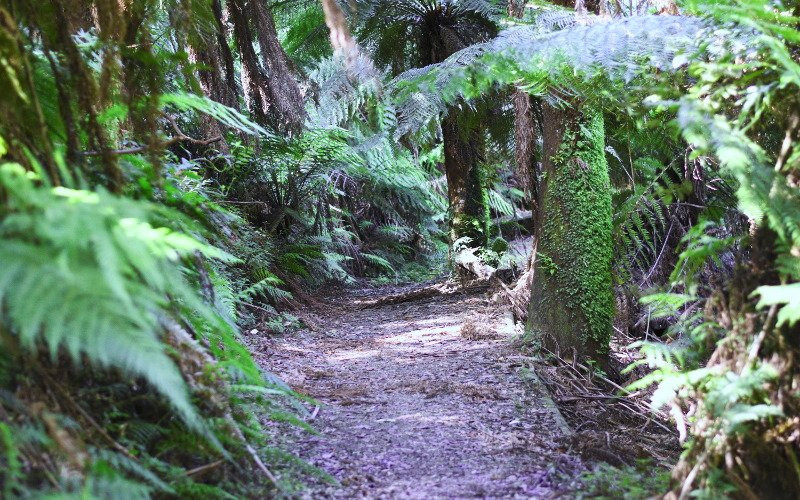Mt Worth National Park-Allambee必去景点