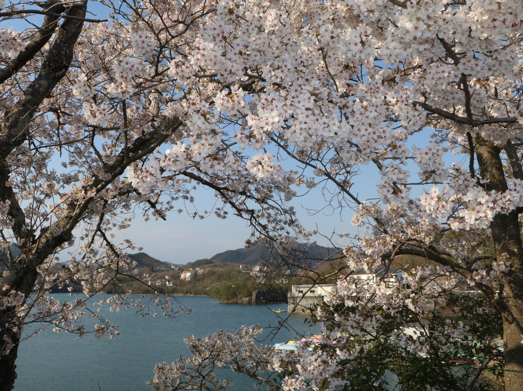 Tojo Lake-加东市必去景点