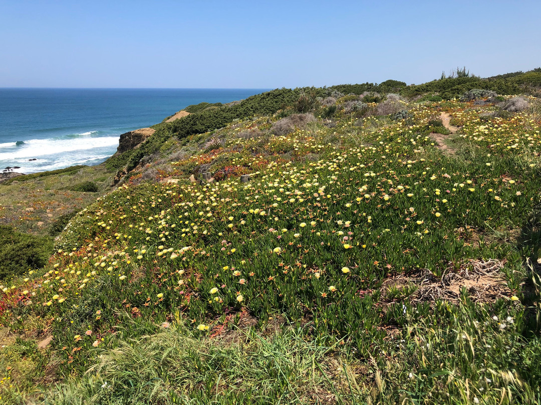 Praia da Carriagem景点图片