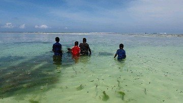 Villa Vanilla Zanzibar香草别墅桑给巴尔主图