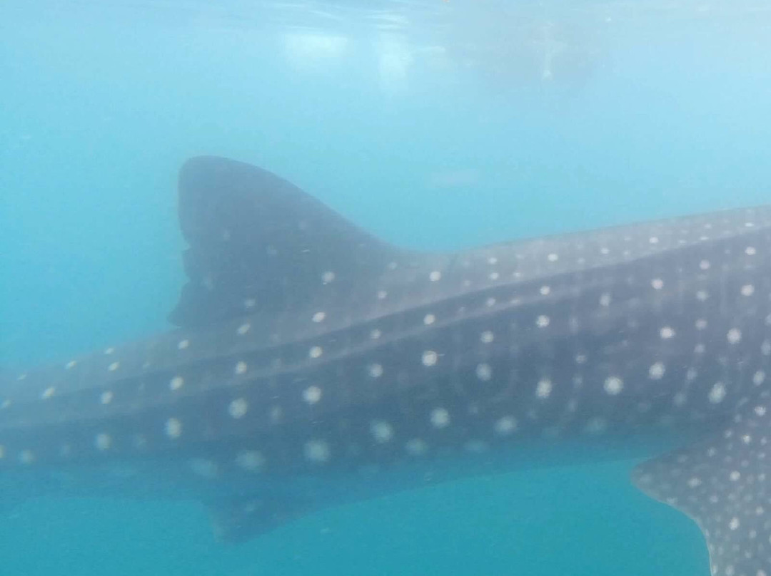 Red Travel México-拉巴斯必去景点