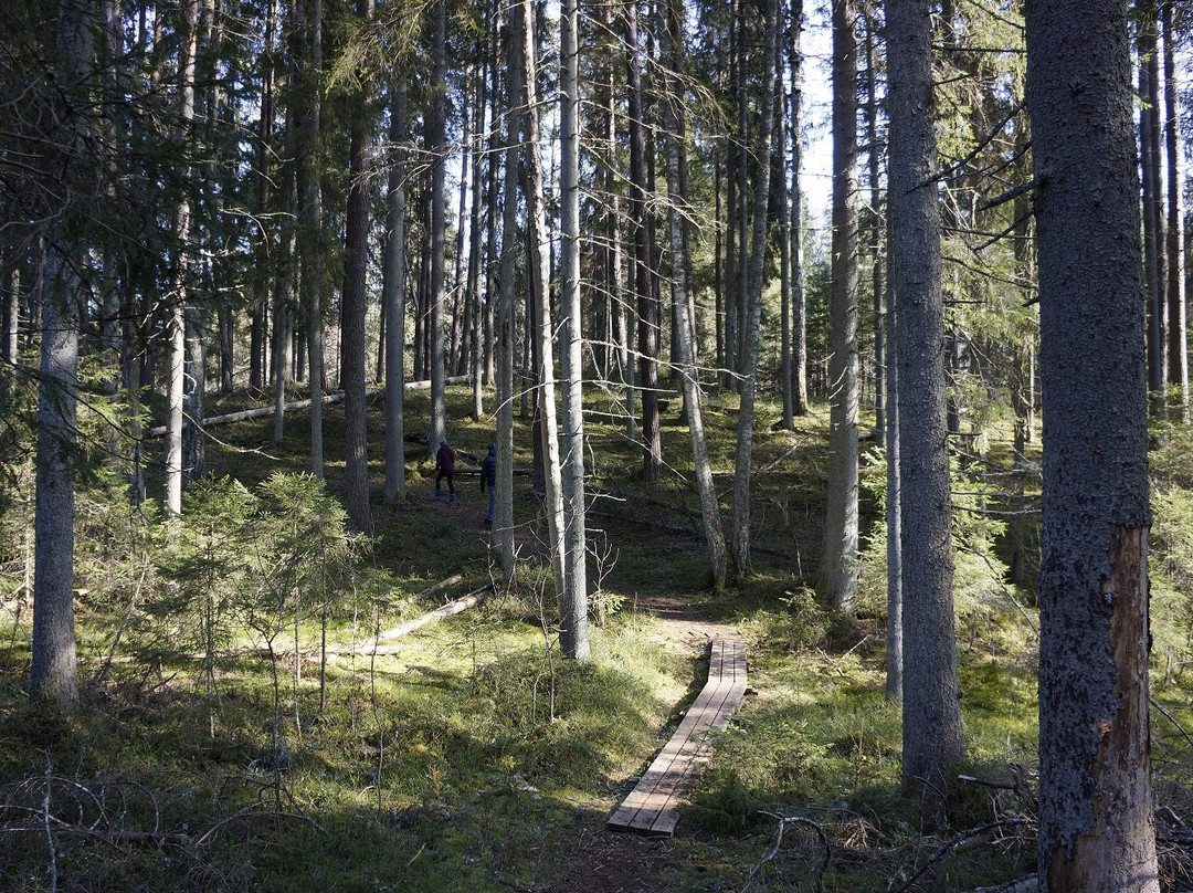 Tilleoru Nature Trail-Kanepi必去景点