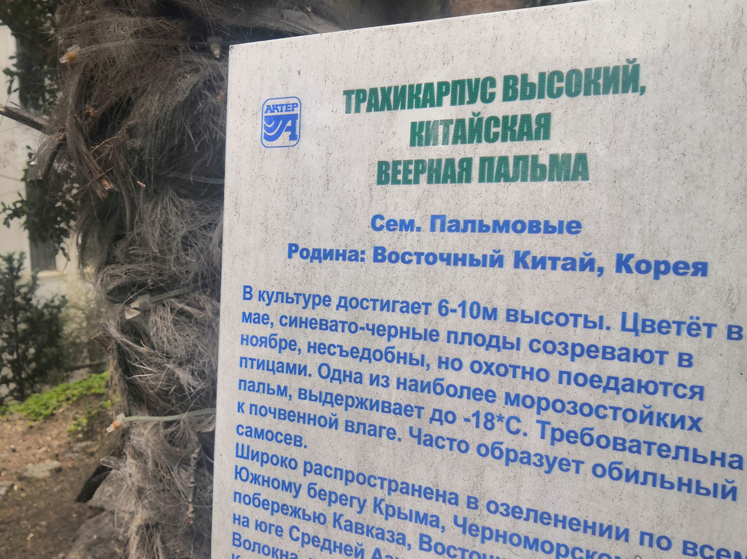 Actor Park Hotel主图