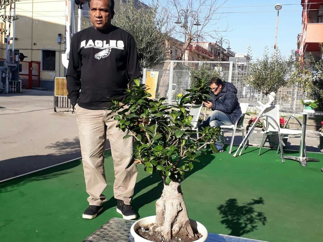 Denjo