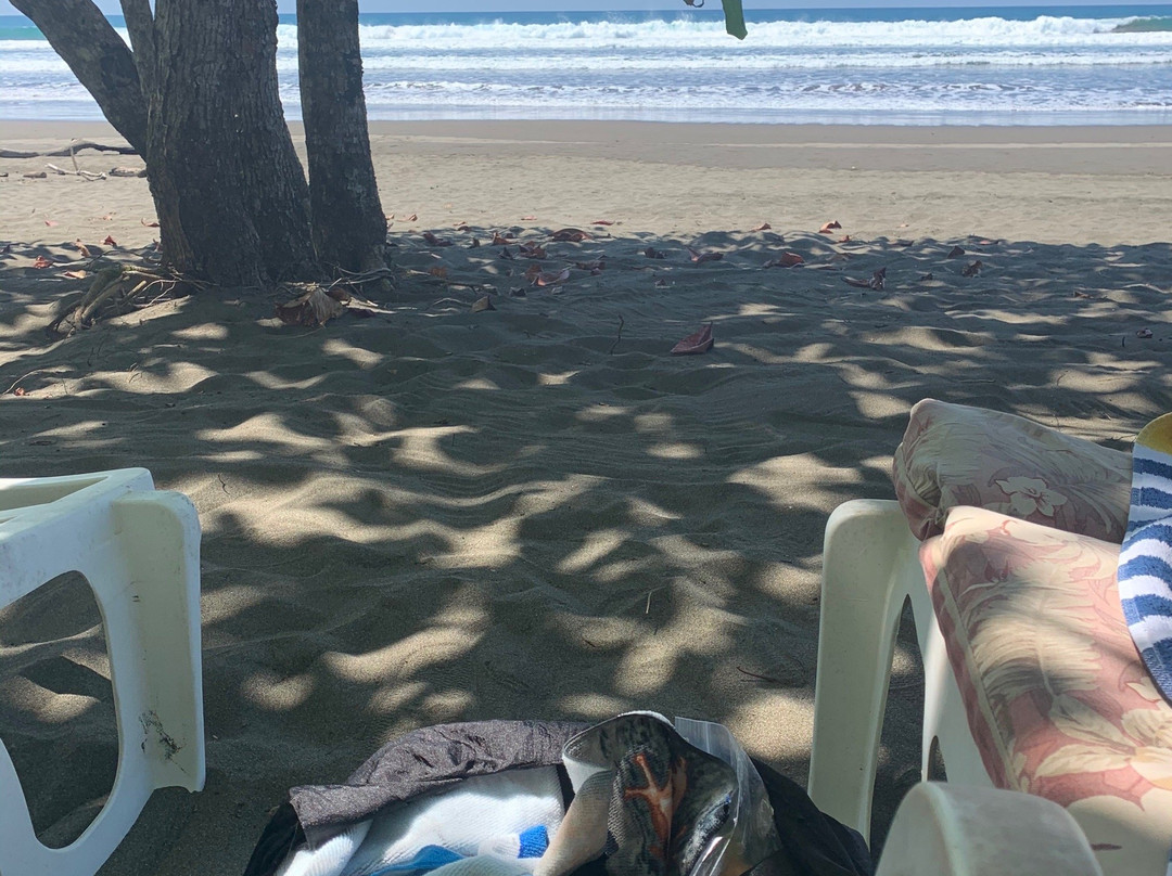 Dreamy Contentment主图