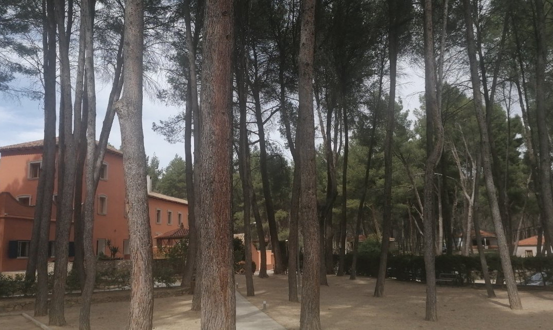 Hotel Balneario del Cabriel主图