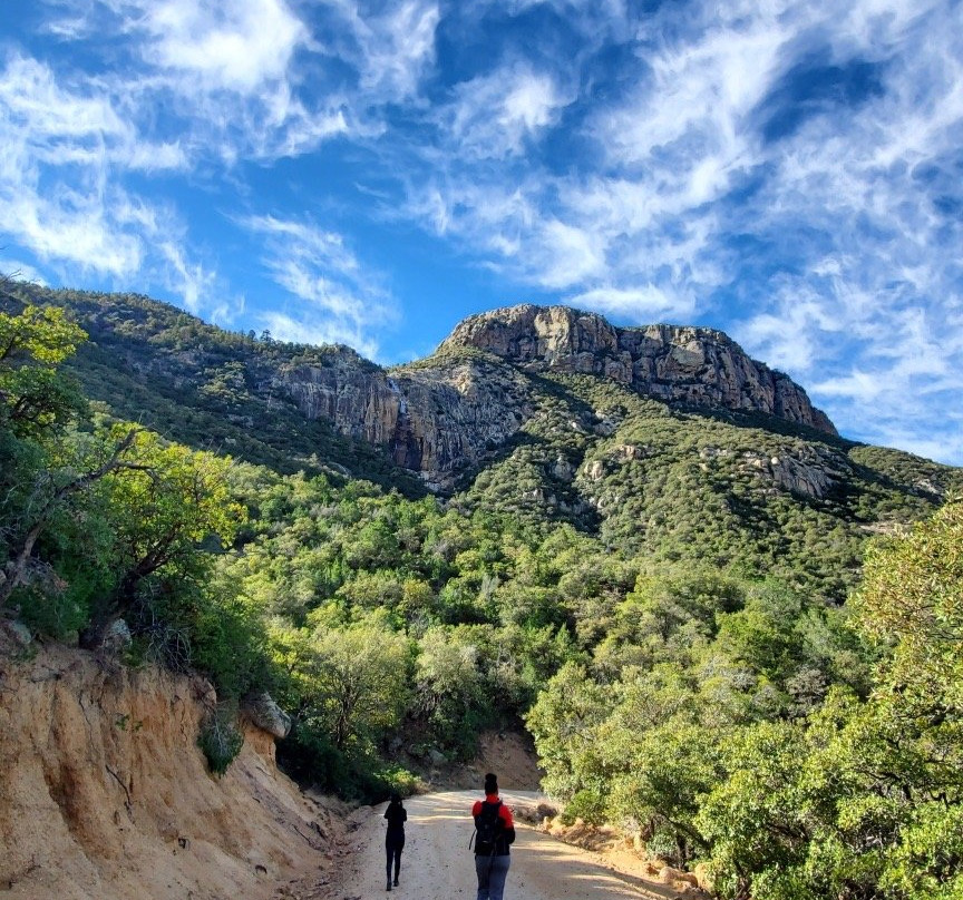 Carr Canyon景点图片