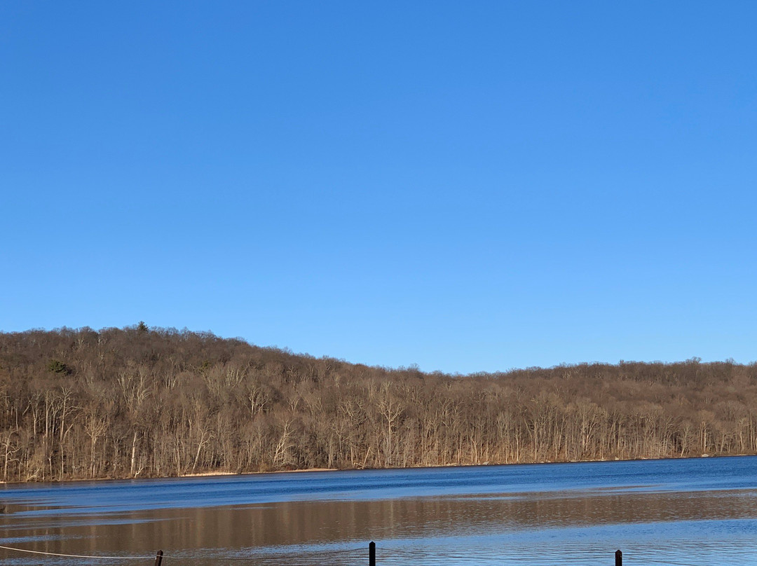 Ringwood State Park景点图片