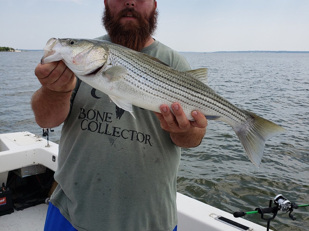 Captain Martys Lake Texoma Fishing Guides景点图片