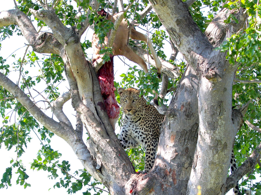 Africa Photographic Services-白河必去景点