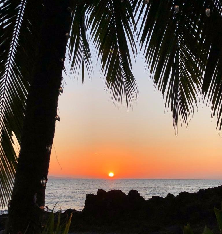 Hotel Amor de Mar主图