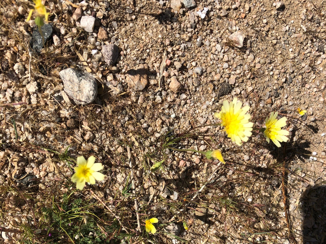 Kelso Depot Visitor Center-莫哈韦必去景点