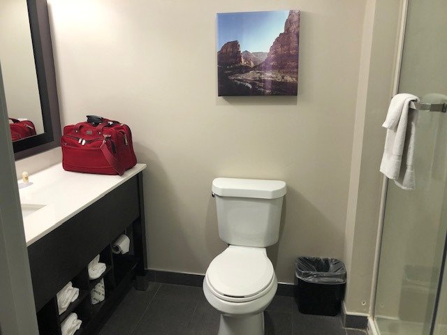 La Quinta Inn & Suites by Wyndham La Verkin-Gateway to Zion-浴室