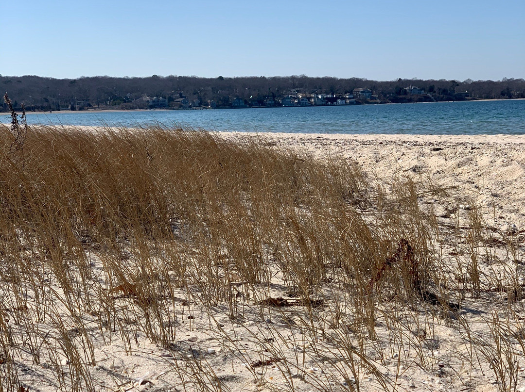 Foster Memorial Beach-Sag Harbor必去景点