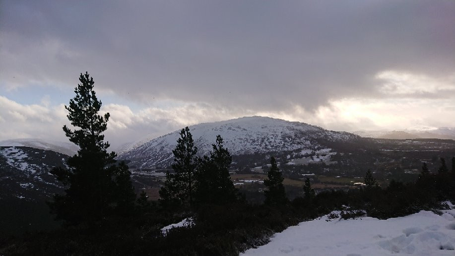 Creag Choinnich-Braemar必去景点
