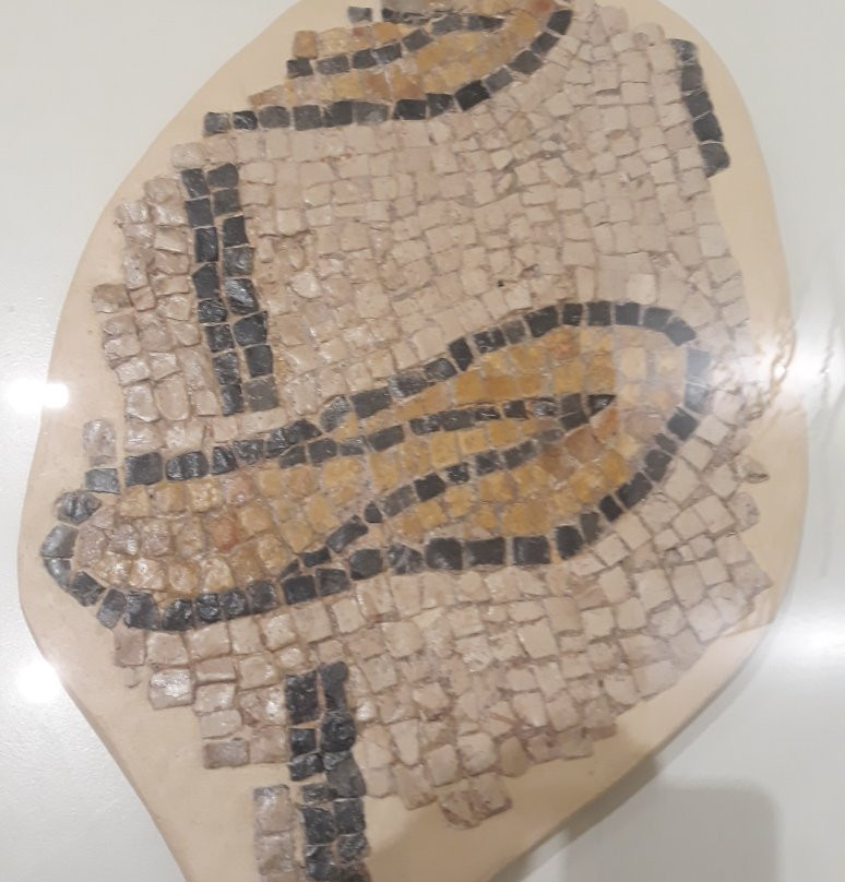 Museu de Tortosa景点图片