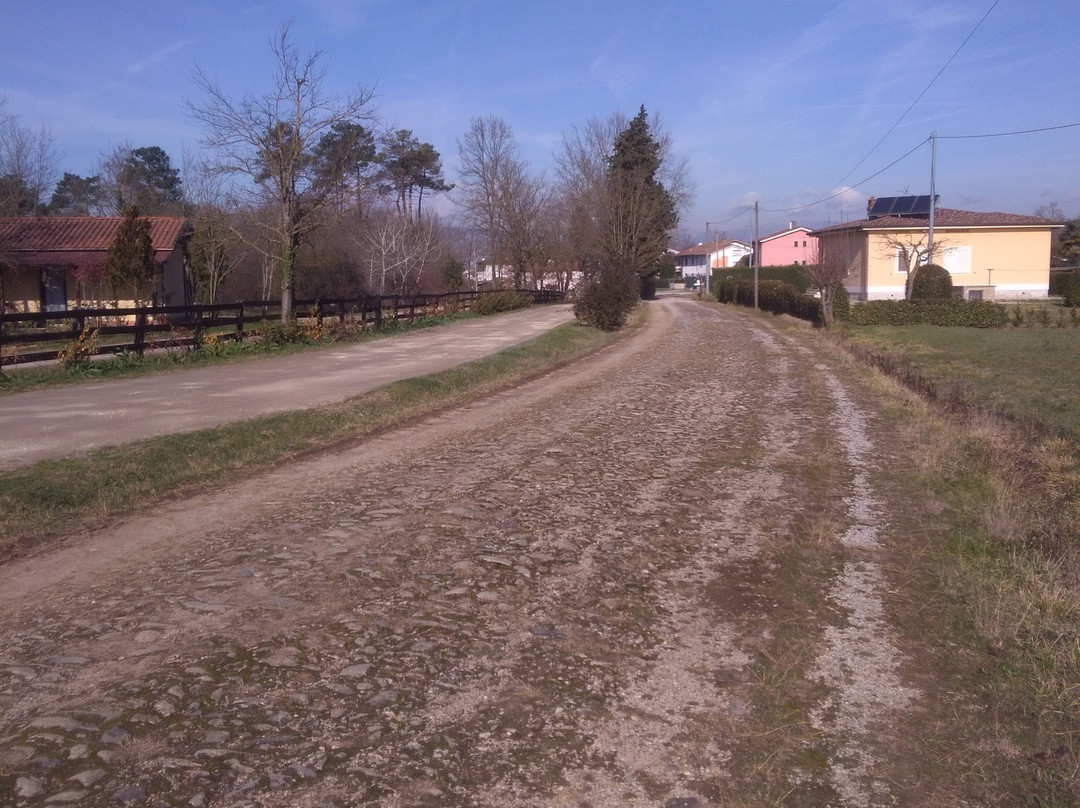 Via Francigena Tappa 29 Altopascio-San Miniato景点图片