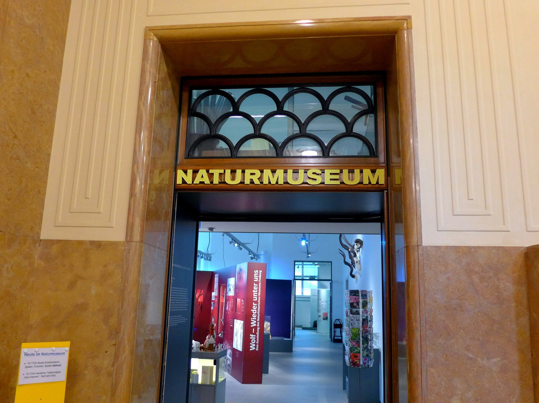 Naturmuseum Winterthur景点图片