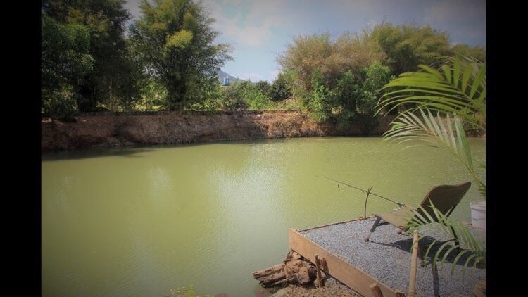 Lakeside Bar & Fishing Lake景点图片