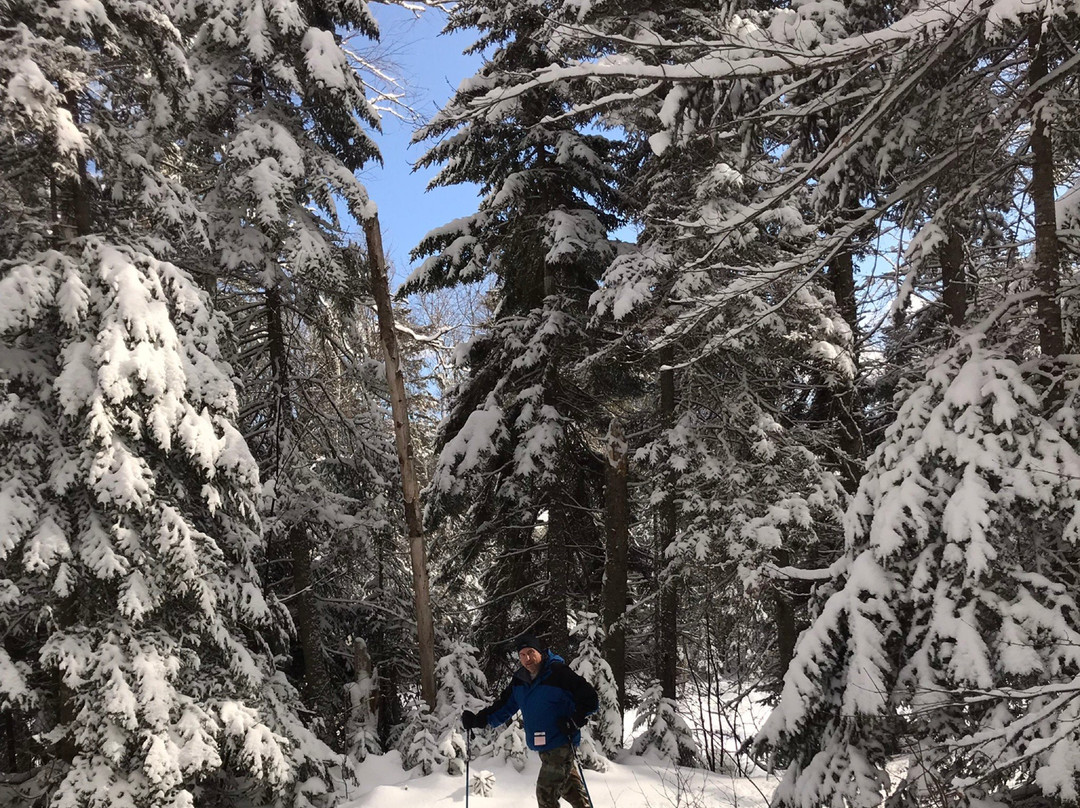 Bretton Woods Nordic Ski Area-布雷顿森林必去景点
