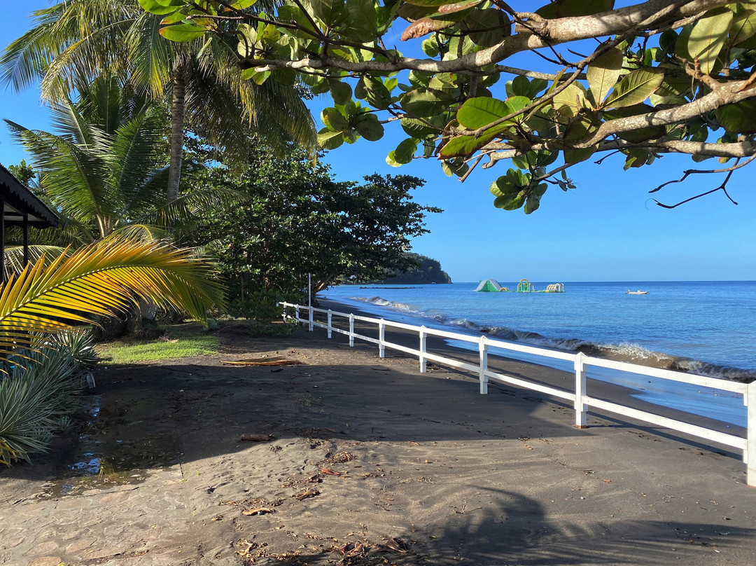 皮卡德海滩别墅酒店主图