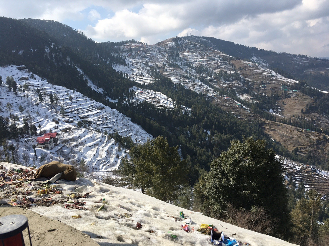 OYO 14776 The Tikker主图