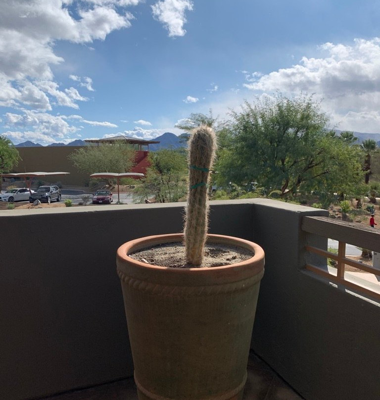 棕榈沙漠 - 因特拉韦斯特俱乐部酒店主图