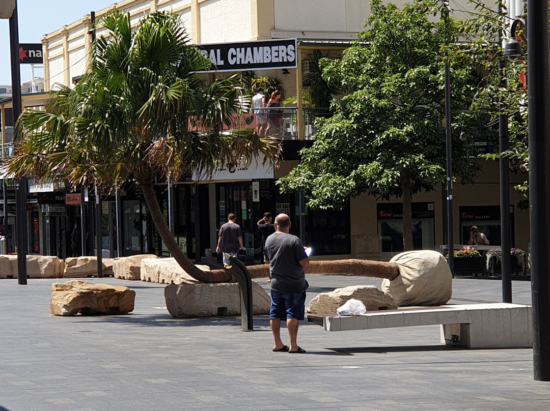 Wollongong Central-卧龙岗市必去景点