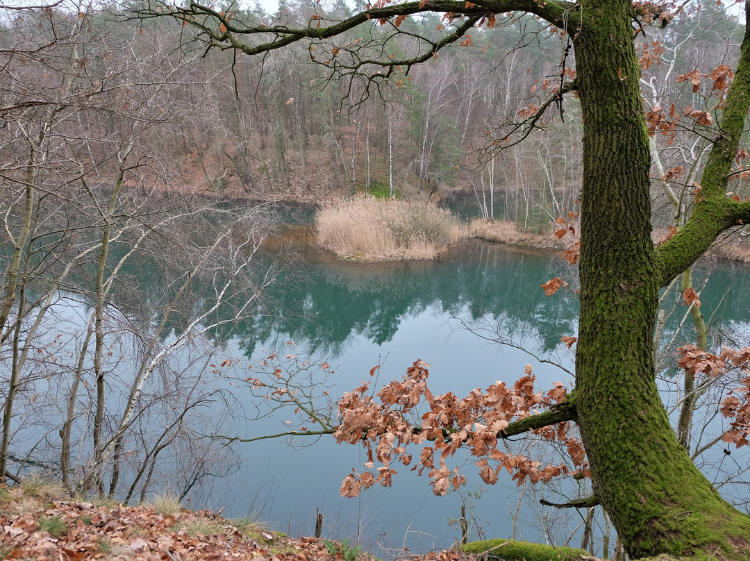 Velpker Schweiz-Velpke必去景点