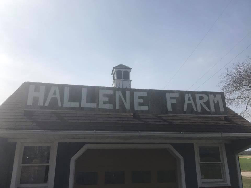 Hallene Farm